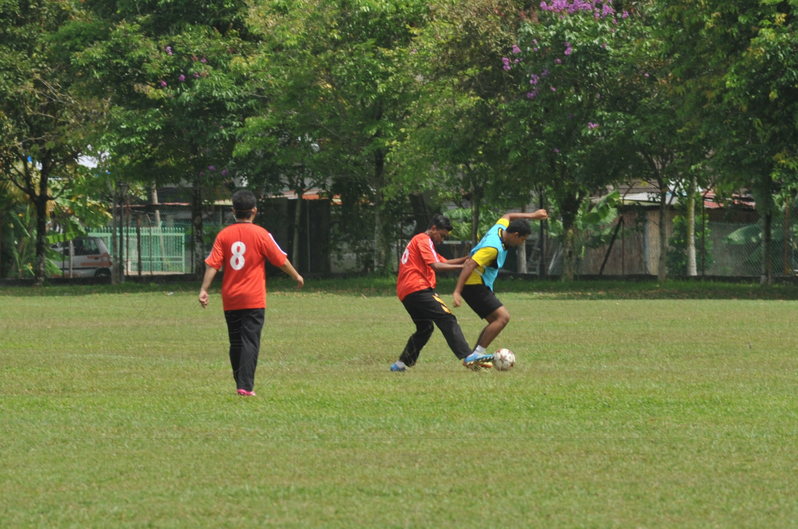 PRO 15 53 KIESTA HAS 6310